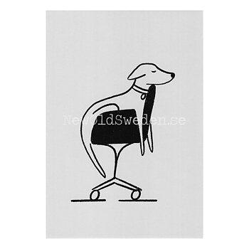 Office Wildlife 2020 - Timo Kuilder - Postcard A6 - 1607