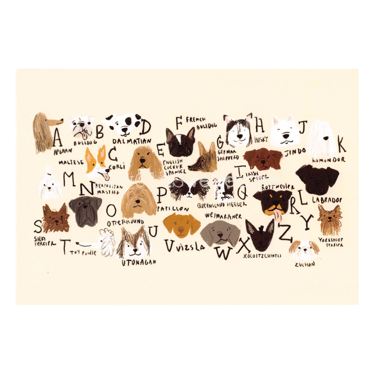 abcdogs 2020 - Andrea Cáceres - Postcard A6 - 1607 - 2