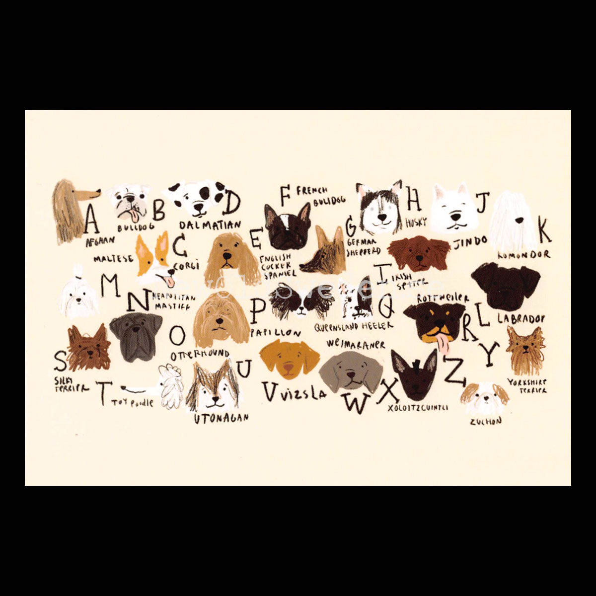 abcdogs 2020 - Andrea Cáceres - Postcard A6 - 1607