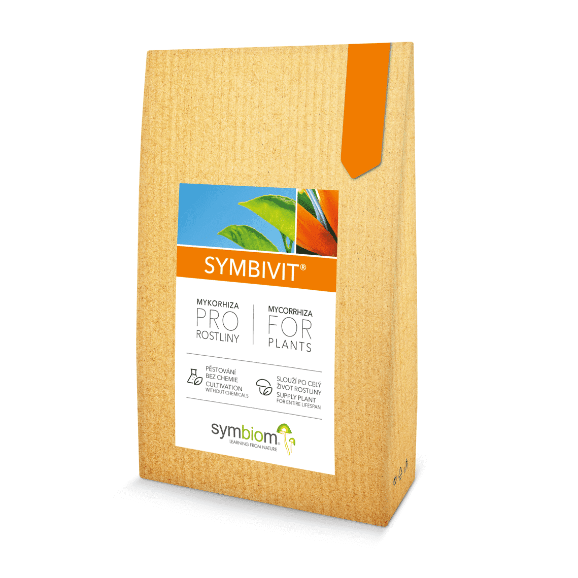 Symbivit Mycel som bildar mycorrhiza med plantans rötter