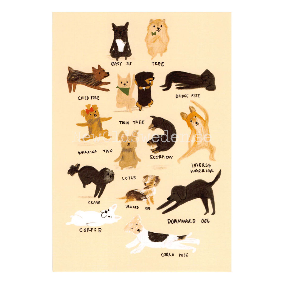 yoga to the dogs 2020 - Andrea Cáceres - Postcard A6 - 1607 - 2