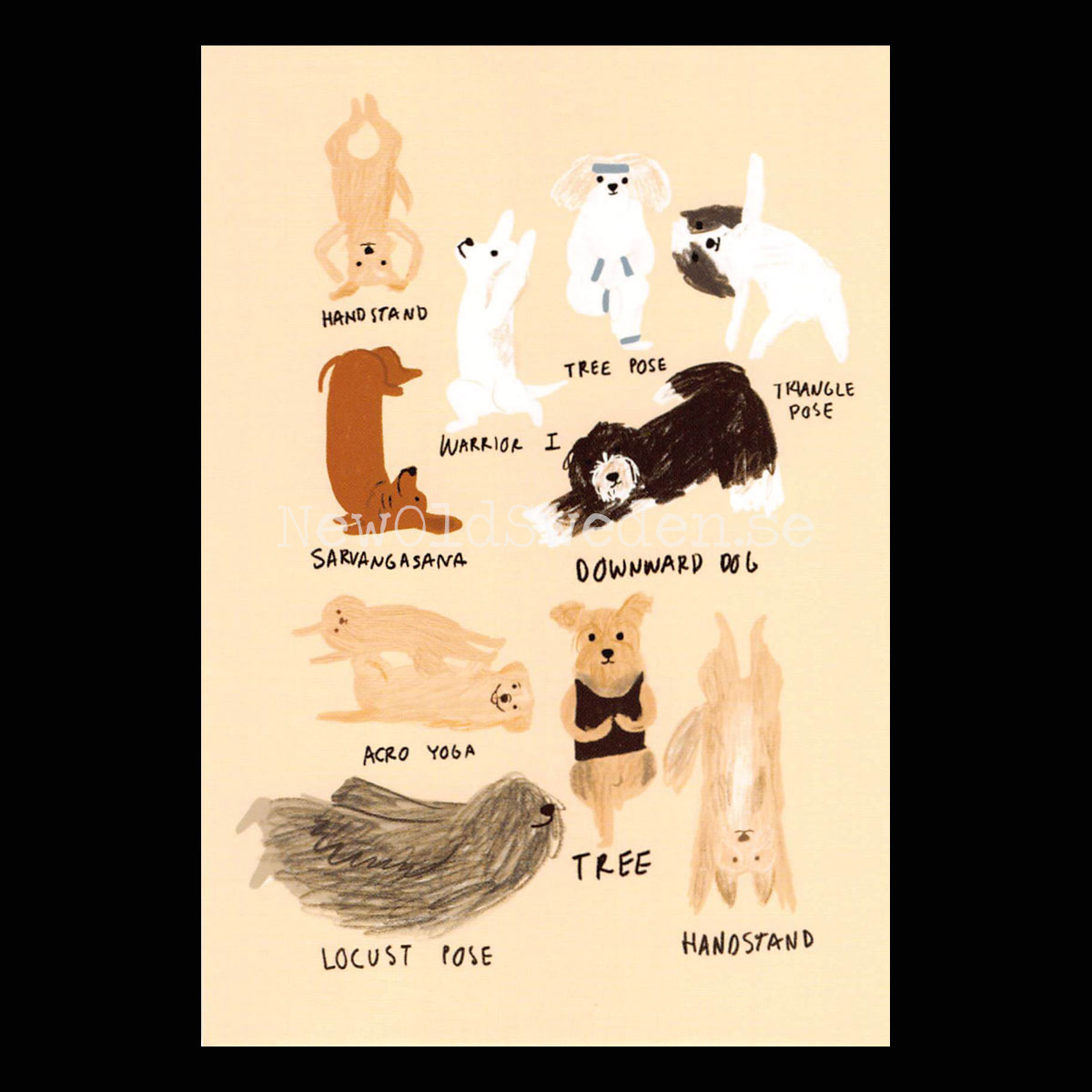 yoga to the dogs II 2020 - Andrea Cáceres - Postcard A6 - 1607