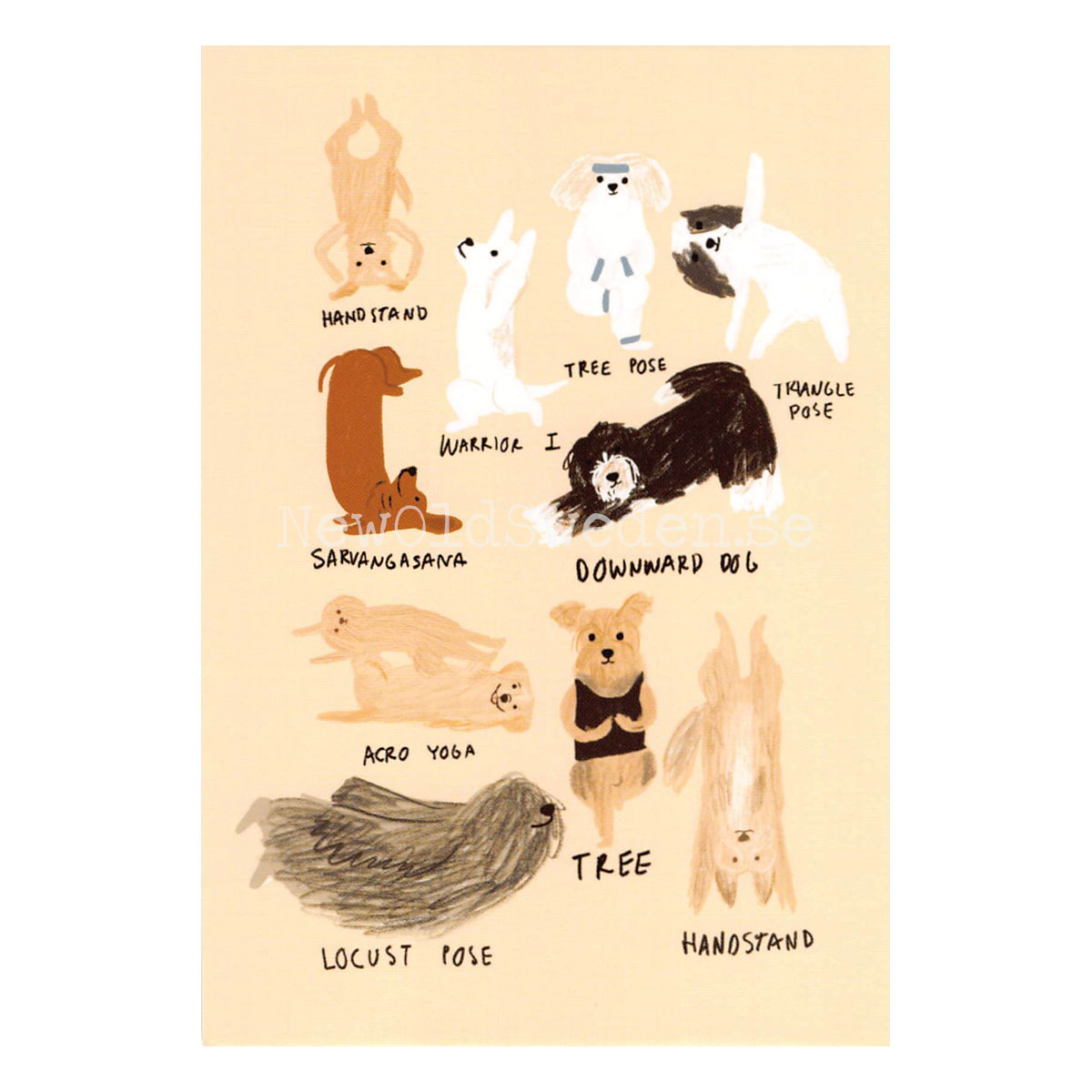 yoga to the dogs II 2020 - Andrea Cáceres - Postcard A6 - 1607 - 2
