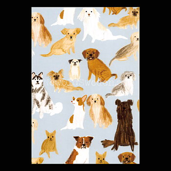 all dogs are good dogs 2020 - Andrea Cáceres - Postcard A6 - 1607