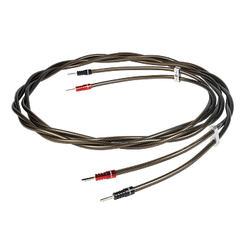 Chord Epic XL Ohmic