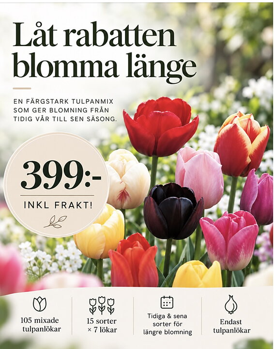product-image Mystery Box 105 st tulpanlökar 399:- INKL FRAKT!!!