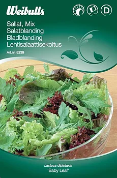 8239 Salladsblandning   Lactuca sativa