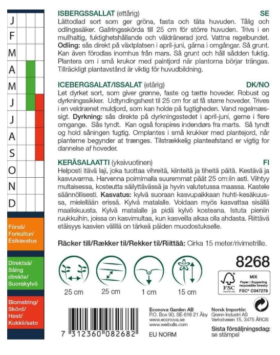 8268 Sallat, Isbergs-  Lactuca sativa l. var. nanus - 2