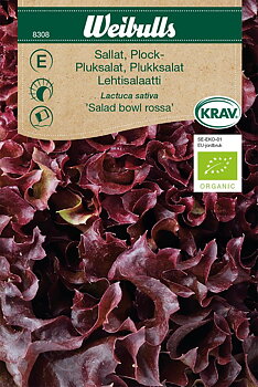 8308 Sallat, plock-, KRAV  Lactuca sativa