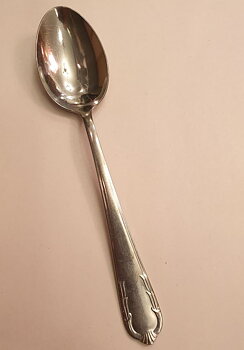 Florida dessert spoon