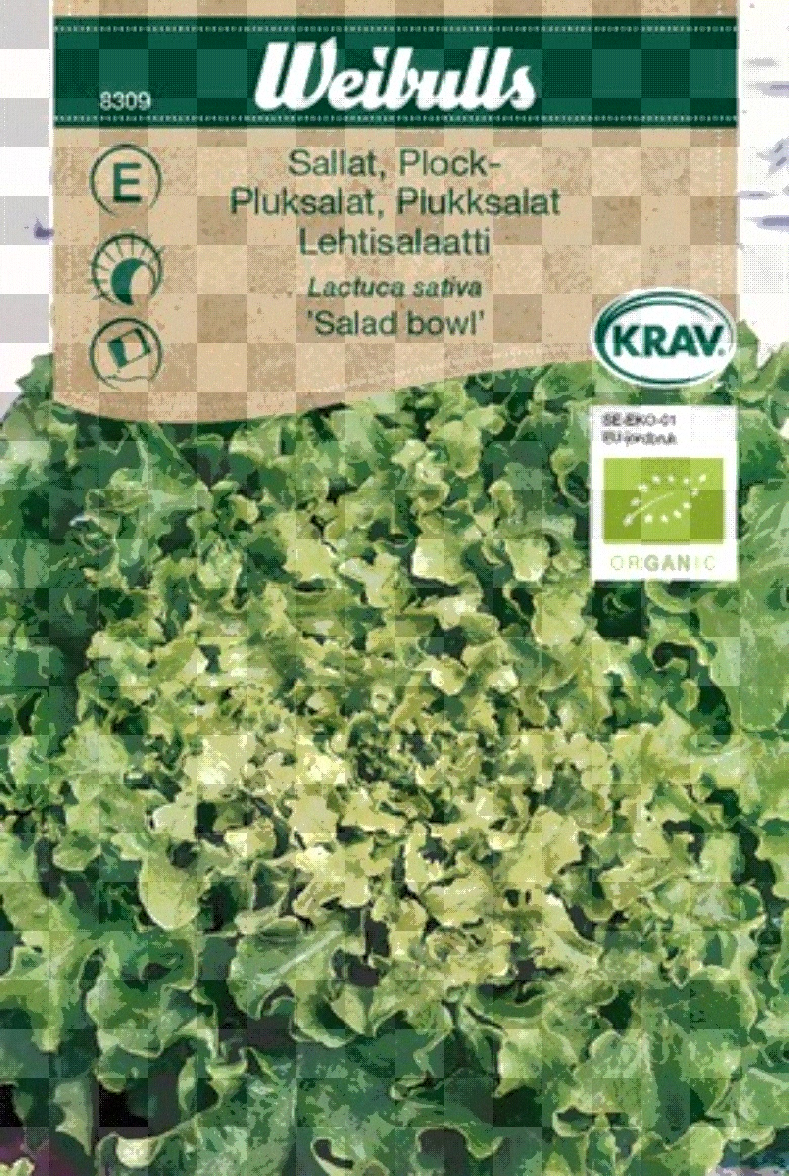 8309 Sallat,plock-, KRAV (grön) Lactuca sativa