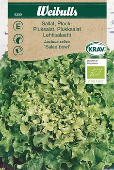 8309 Sallat,plock-, KRAV (grön) Lactuca sativa