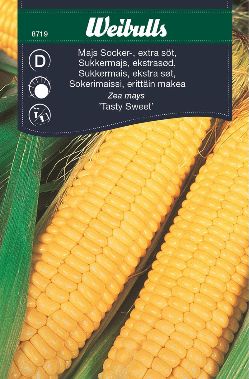 8719 Weibulls Majs, socker-, extra söt Tasty sweet F1, tidig, (gul) Zea mays