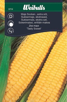 8719 Weibulls Majs, socker-, extra söt Tasty sweet F1, tidig, (gul) Zea mays