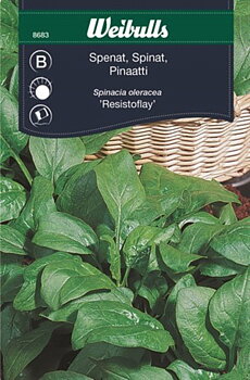 8683 Spenat (grön)    Spinacia oleracea