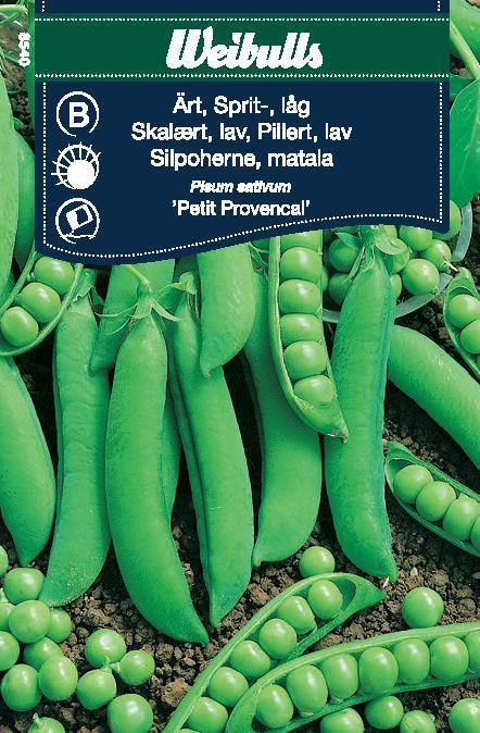 8540 Spritärt, Låg (grön)    Pisum sativum