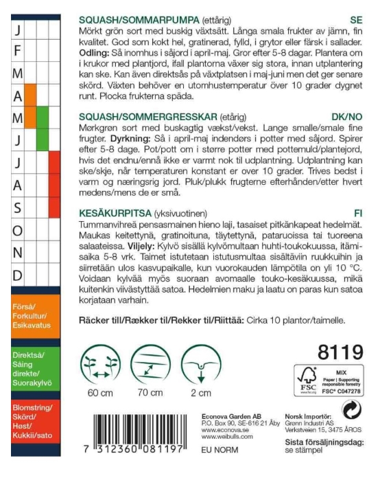8119 Squash/Sommarpumpa    Cucurbita pepo - 2
