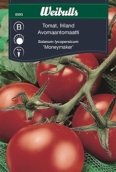 8593  Tomat Moneymaker (röd)    Solanum lycopersicum