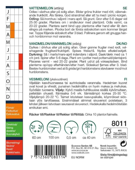 8011 Vattenmelon   Citrullus lanatus - 2