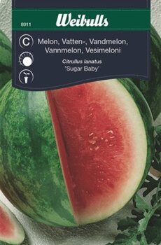 8011 Vattenmelon   Citrullus lanatus