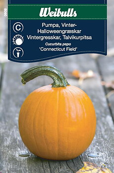 8090 Pumpa, vinter- Connecticut Field