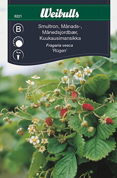 8221 Smultron   Fragaria vesca