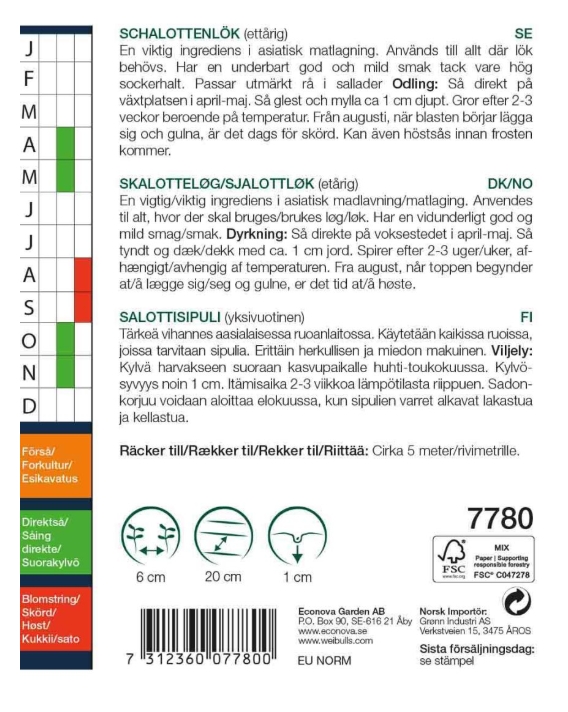 7780 Lök, Schalottenlök röd    Allium cepa - 2