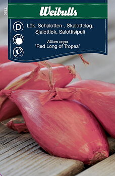 7780 Lök, Schalottenlök röd    Allium cepa