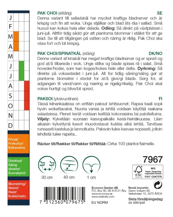 7967 Pak choy    Brassica rapa - 2