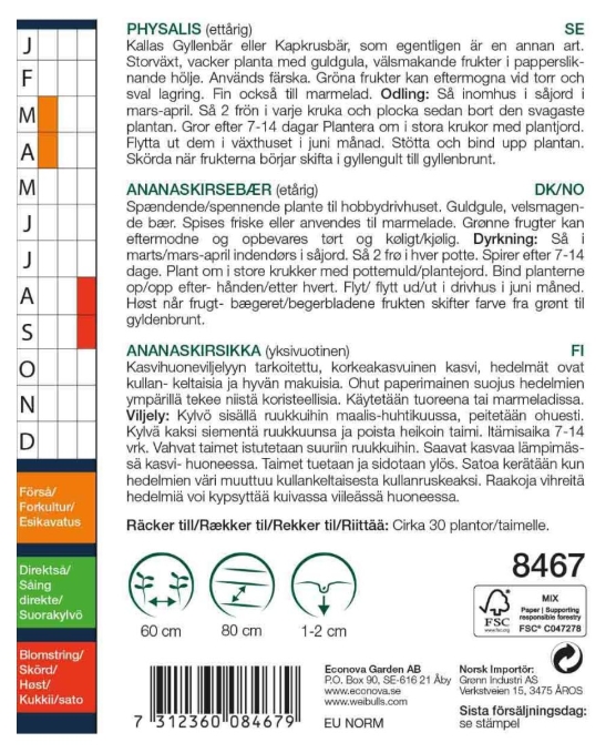 8467  Physalis (gul)  grisea - - 2