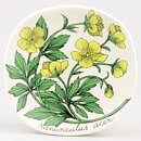 Esteri Tomula (Botanica 1982) Meadow Buttercup Wall Plaque 13 cm