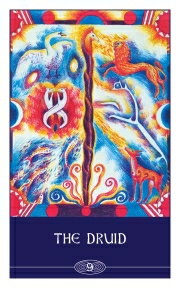 THE CELTIC SHAMAN'S PACK- Guided Journeys To The Otherworld John Matthews Illustrated by Chesca Potter  - 4