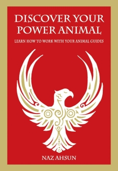 DISCOVER YOUR POWER ANIMAL , Learn How to Work with Your Animal Guides  - Naz Ashun 