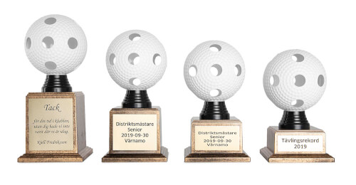 Floorball pokal - 2