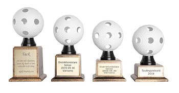 Floorball pokal