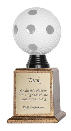 Floorball pokal
