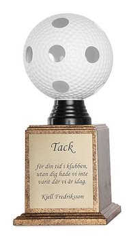 Floorball pokal