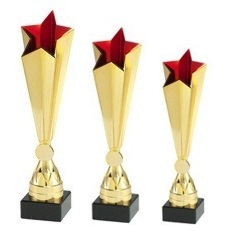 Trophy star guld