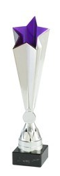 Trophy star silver/lila - 2