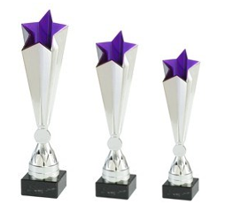 Trophy star silver/lila