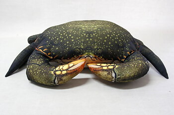 Dy Krabba Kudde 65x45 cm