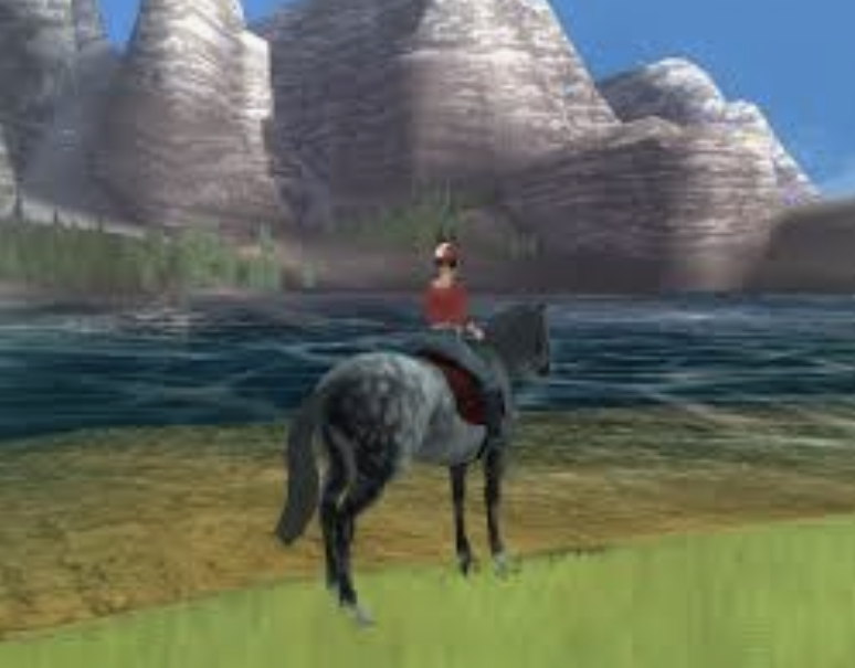 Champion Rider - NDS ( endast kassett) - 2