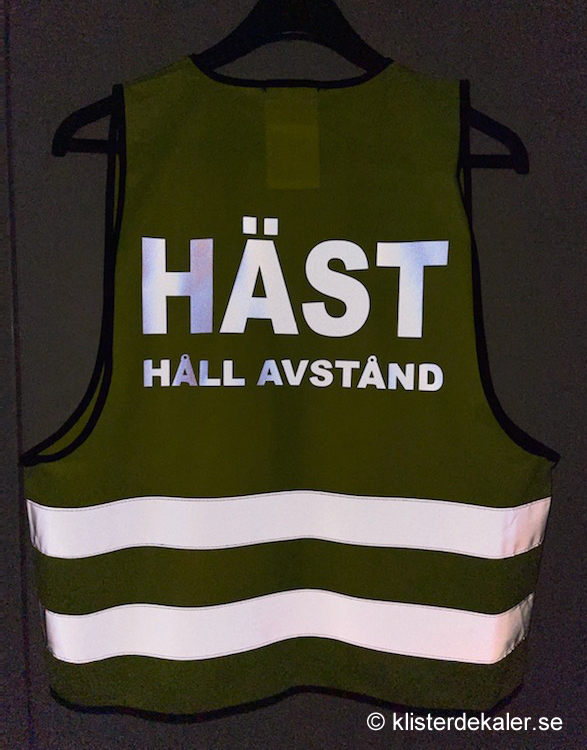 Reflective vest - 2
