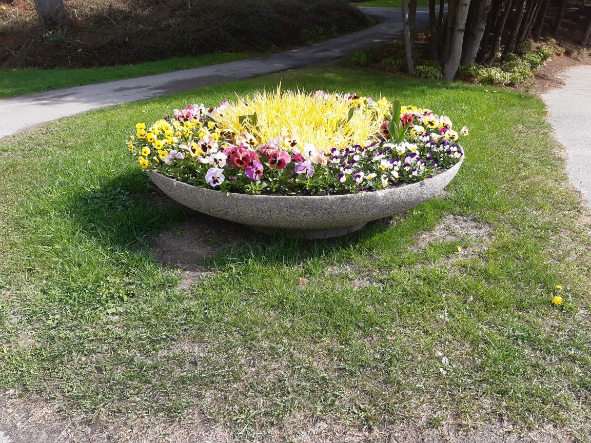 Blomlåda Oas 80, diameter 800 mm - 4