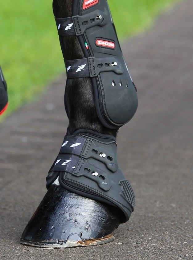 Zandona  boots Carbon - 2