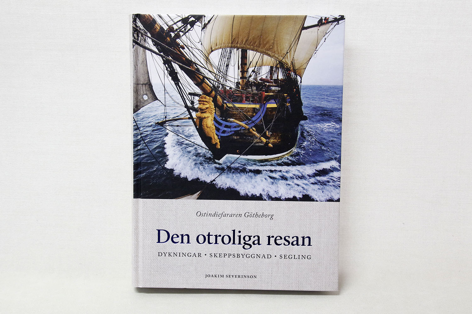 Den Otroliga Resan Bok 28x22 cm