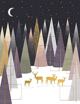 Sara Miller Advent Calendar