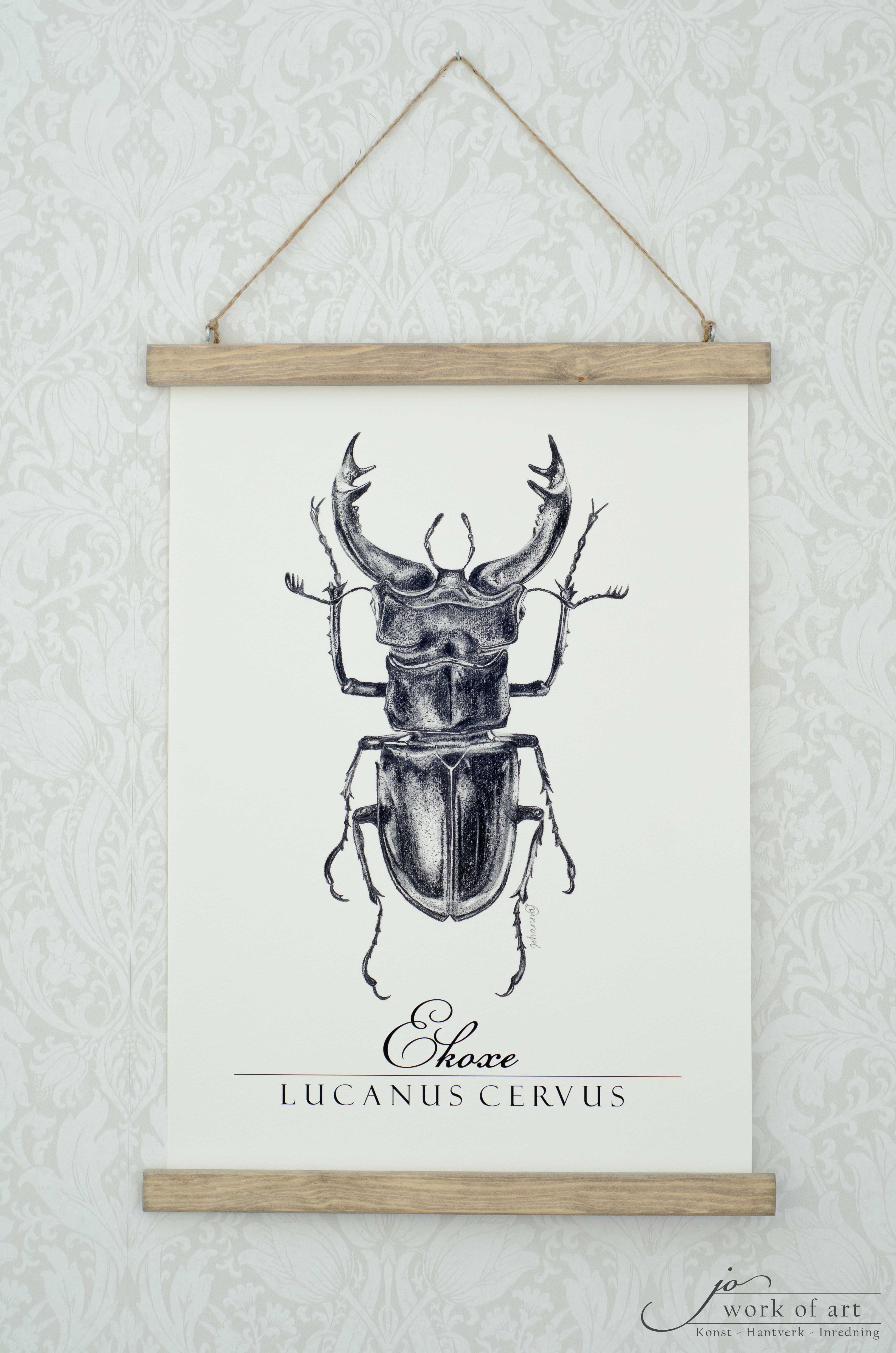 Tavla posterhängare "Ekoxe", 32x44cm