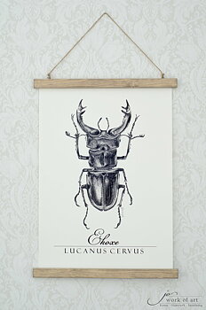 Tavla posterhängare "Ekoxe", 32x44cm