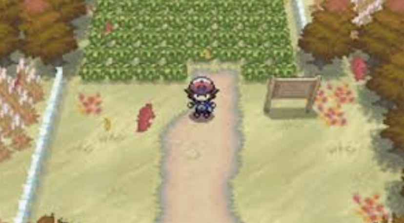 Pokemon Black Version - NDS - 3